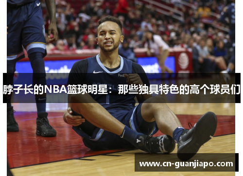 脖子长的NBA篮球明星：那些独具特色的高个球员们